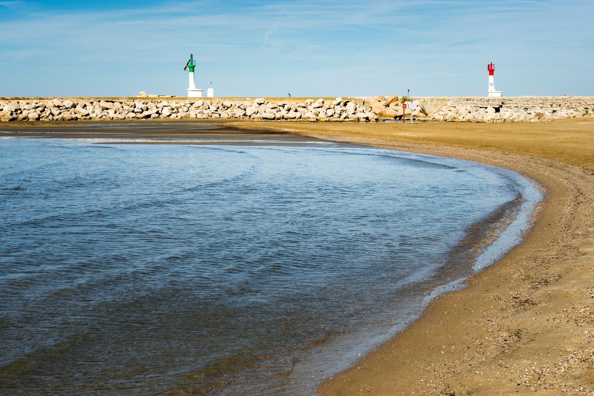 Plage chien Grau du roi et proche : Toutes les plages autorisées aux chiens.