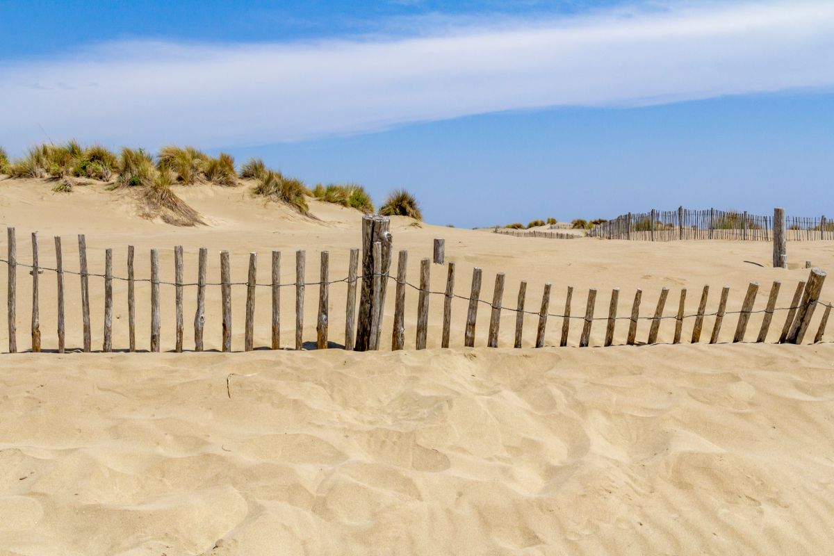 Plage chien Grau du roi et proche : Toutes les plages autorisées aux chiens.