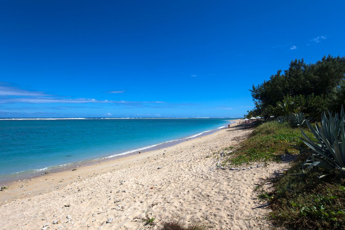 Toutes les plages qui autorisent les chiens sur l'île d'Oléron en 2024