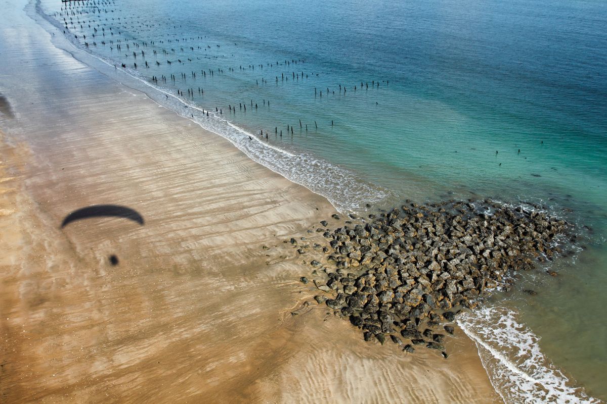 Toutes les plages qui autorisent les chiens sur l'île d'Oléron en 2024