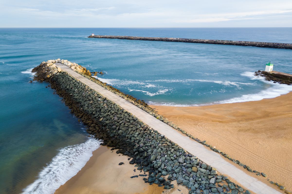 Les plages qui autorisent les chiens proches d'Hendaye !