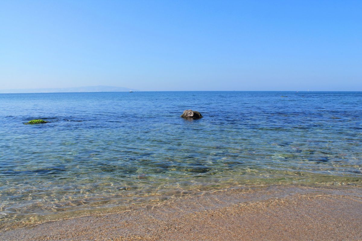 Toutes les plages qui autorisent les chiens sur l'île d'Oléron en 2024