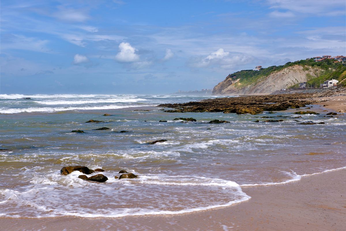 Les plages qui autorisent les chiens proches d'Hendaye !