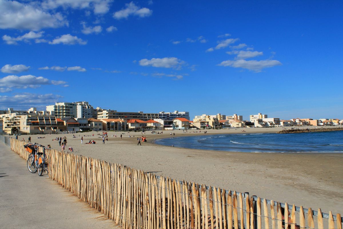 Plage chien Grau du roi et proche : Toutes les plages autorisées aux chiens.