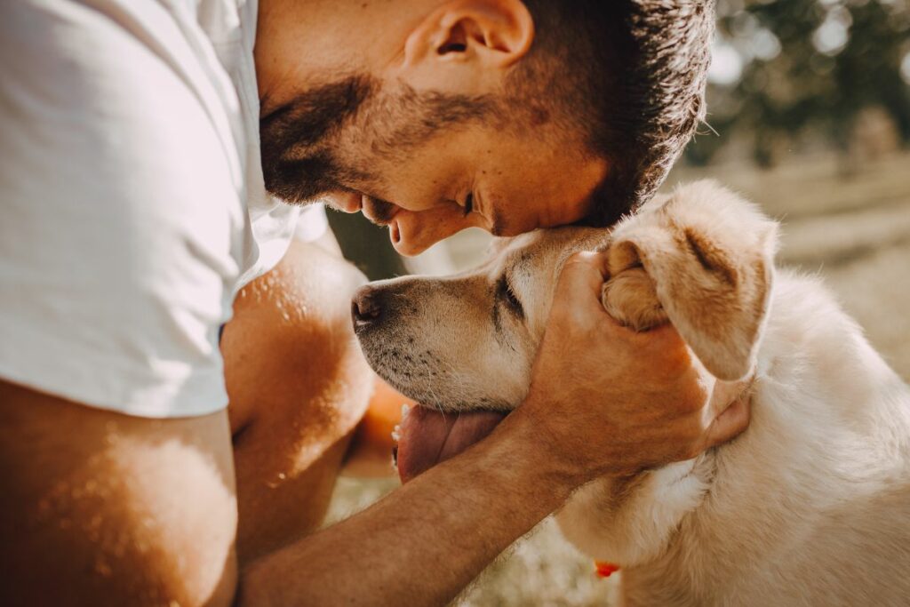 chiens préférés des français en 2024