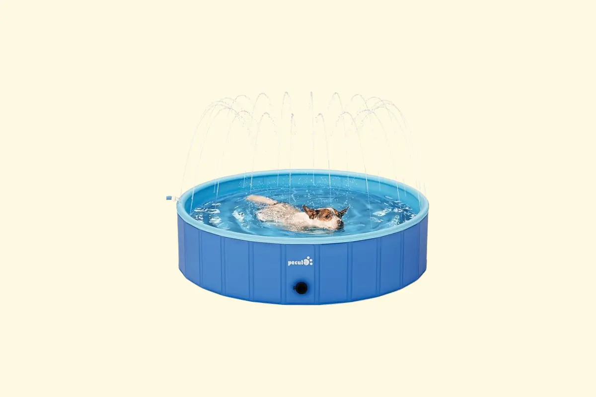 Piscine pour chien