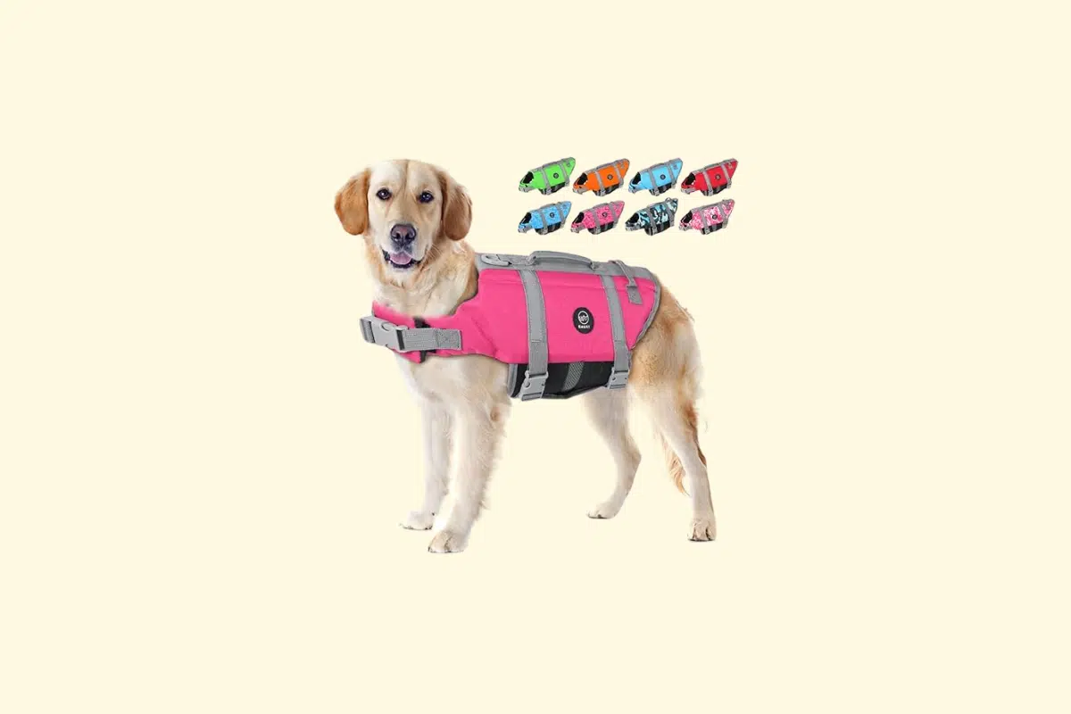 gilet de sauvetage pour chien