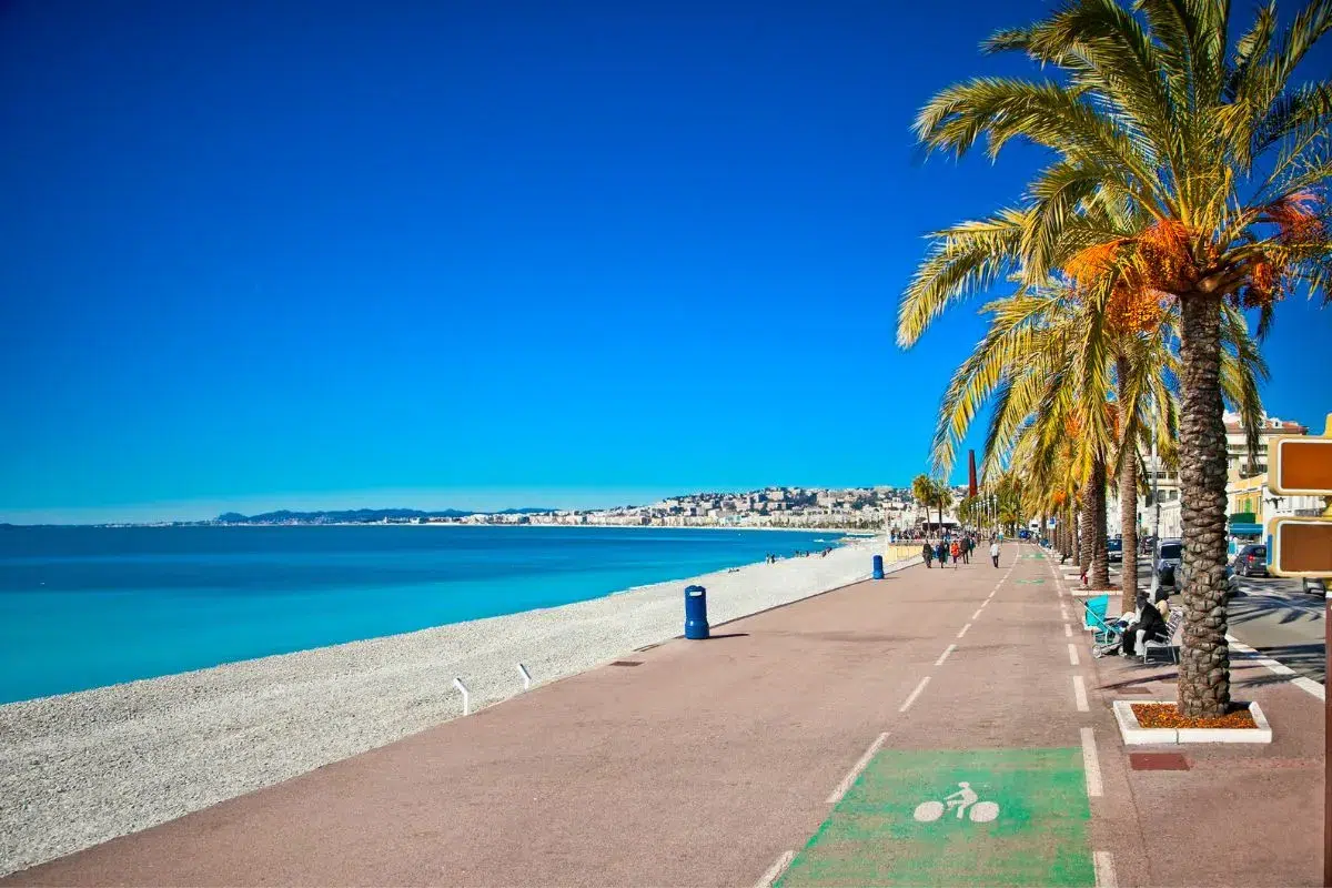 Les plages autorisées aux chiens à Nice et alentours