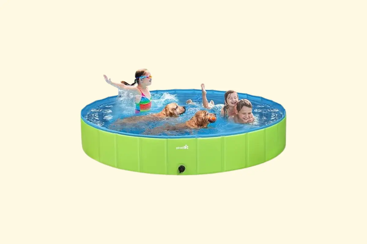 Piscine pour chien