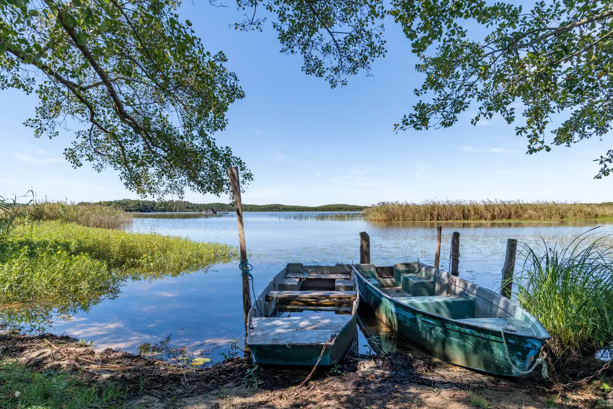 Les lacs de Biscarrosse