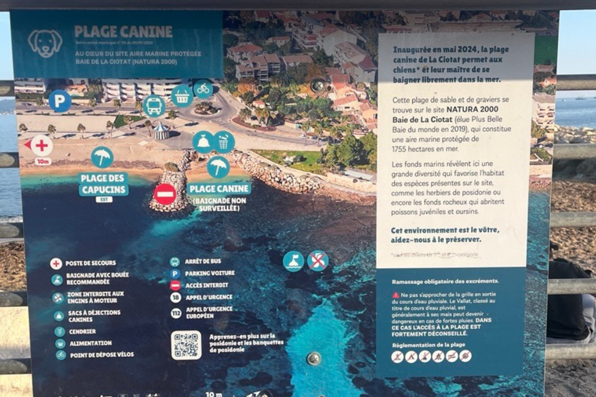 Plage canine la Ciotat