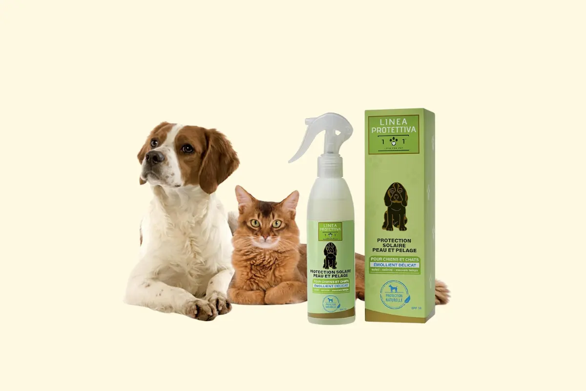 protection solaire pour chien et chat