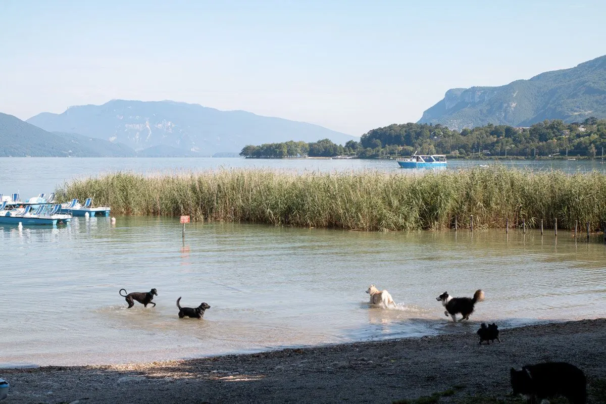 Plage charpignat