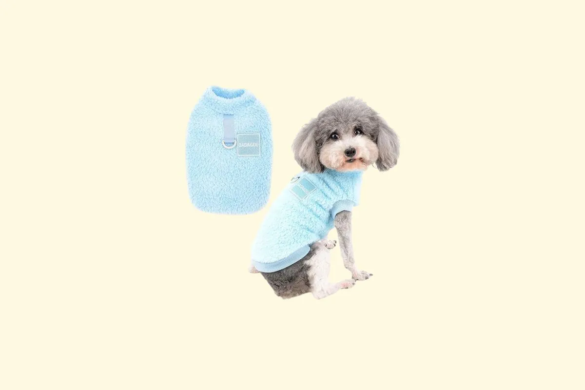 Manteau pour chien