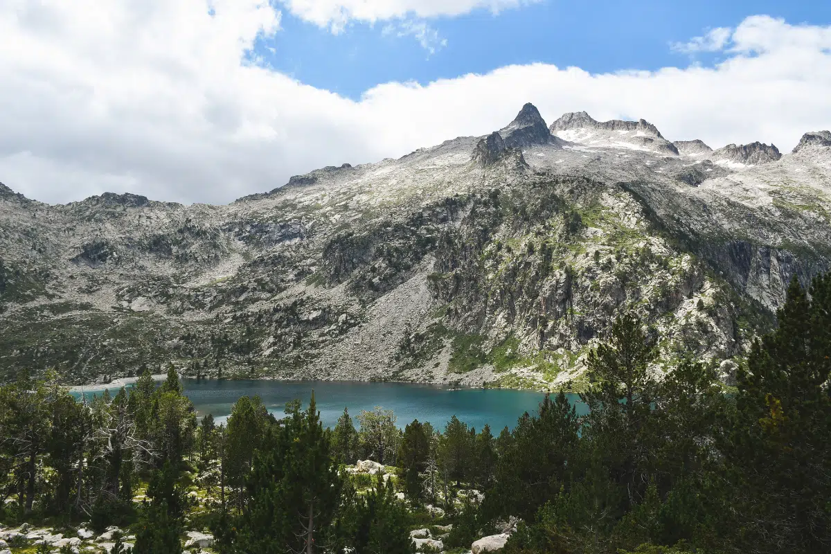 meilleures randonnées Alpes chien 