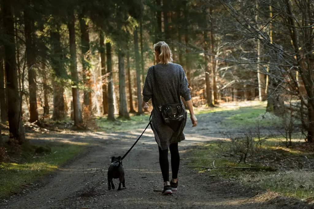 Top 10 randonnée avec son chien