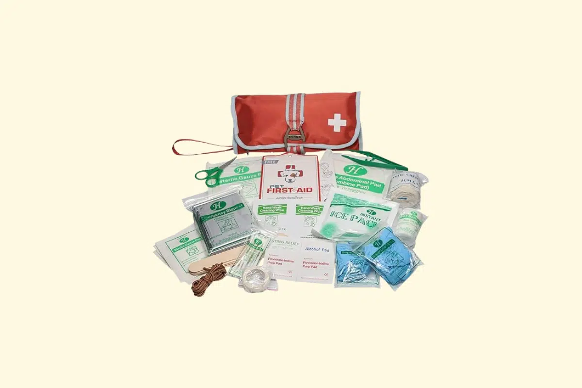 trousse premier secours chien