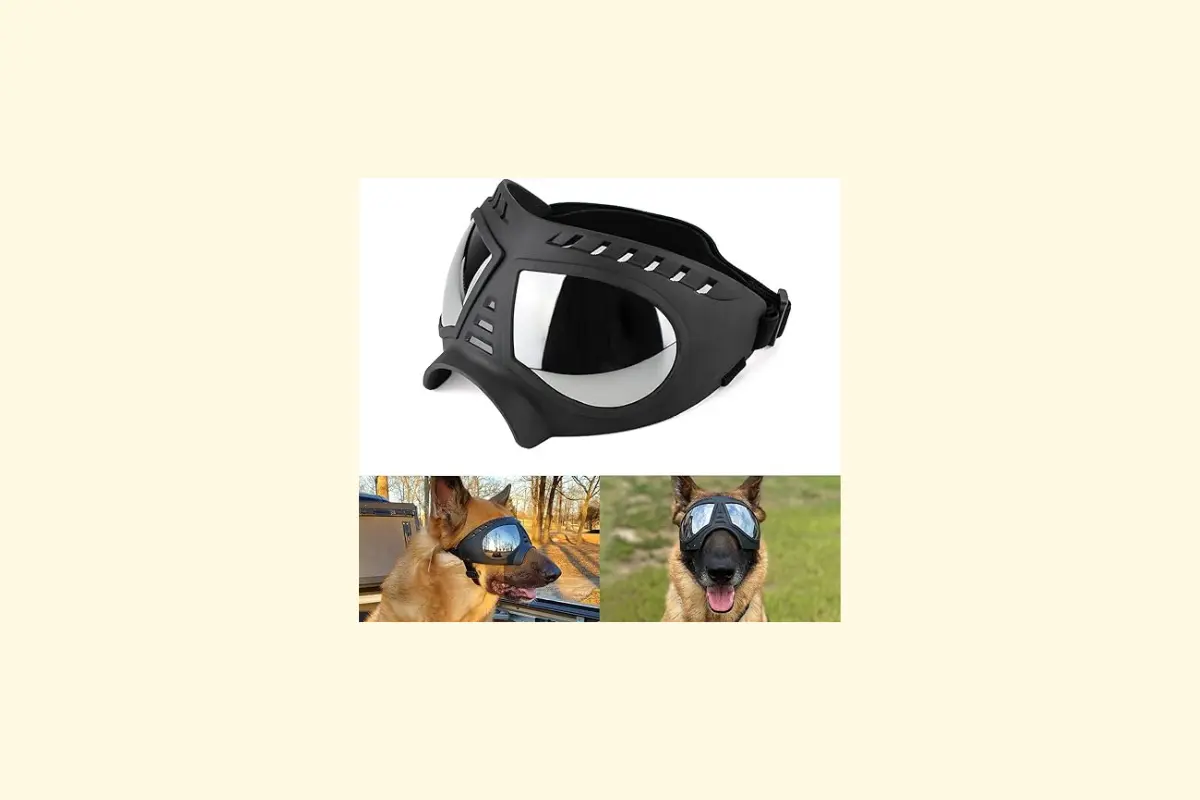 Lunettes pour chiens