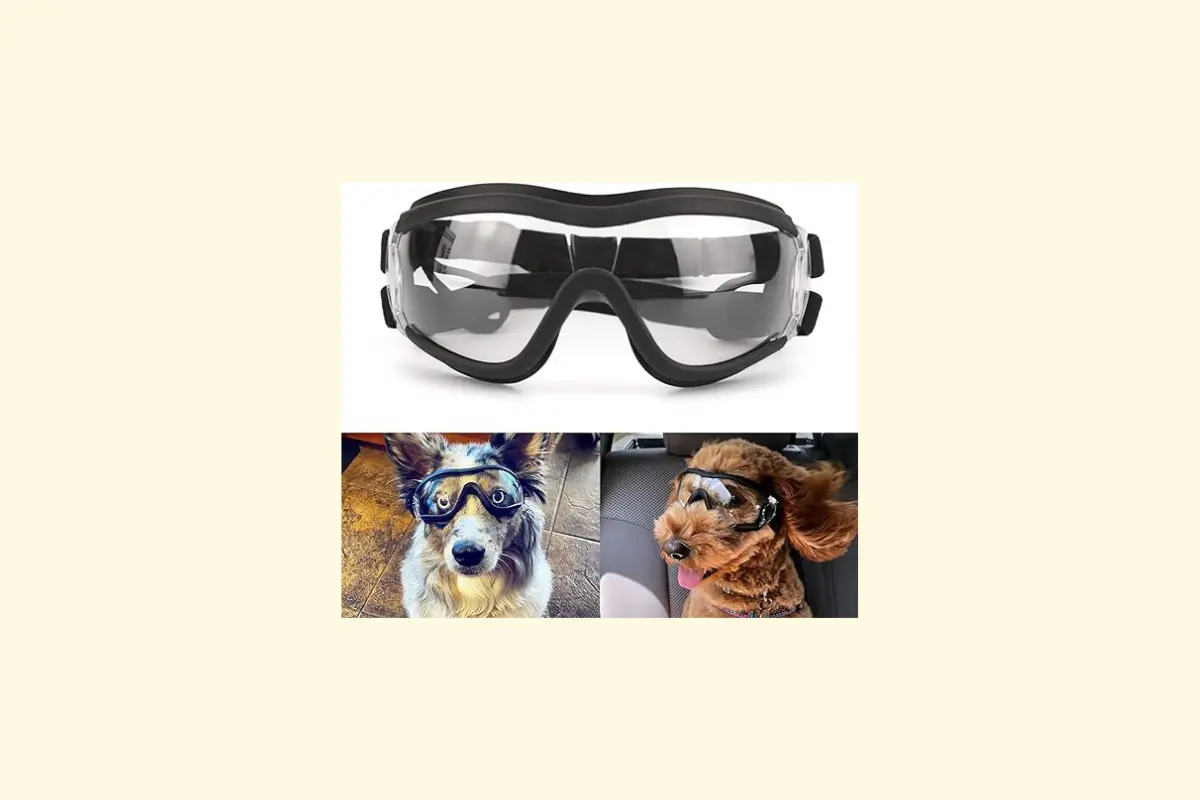 Lunettes pour chiens