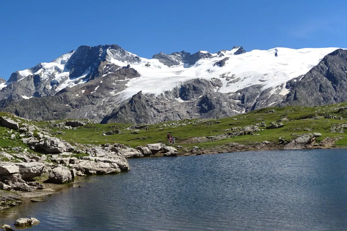 meilleures randonnées Alpes chien 