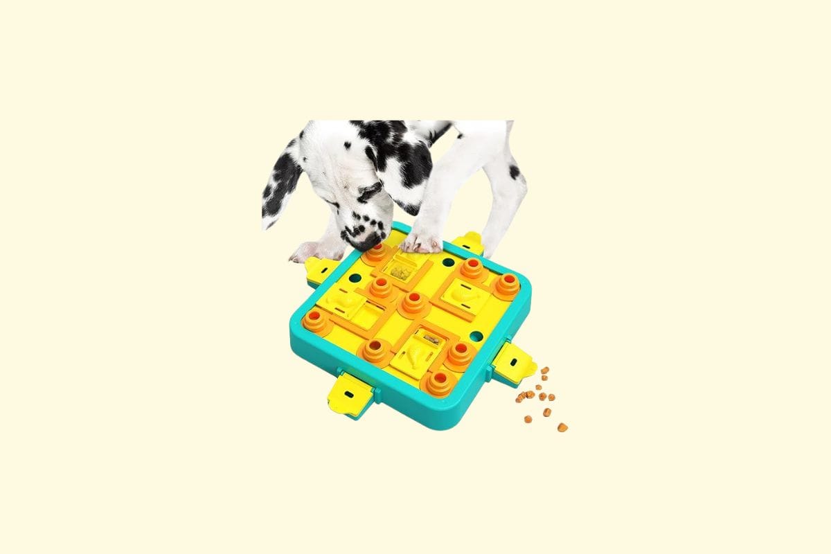 puzzle chien