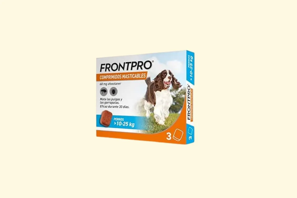 Frontpro