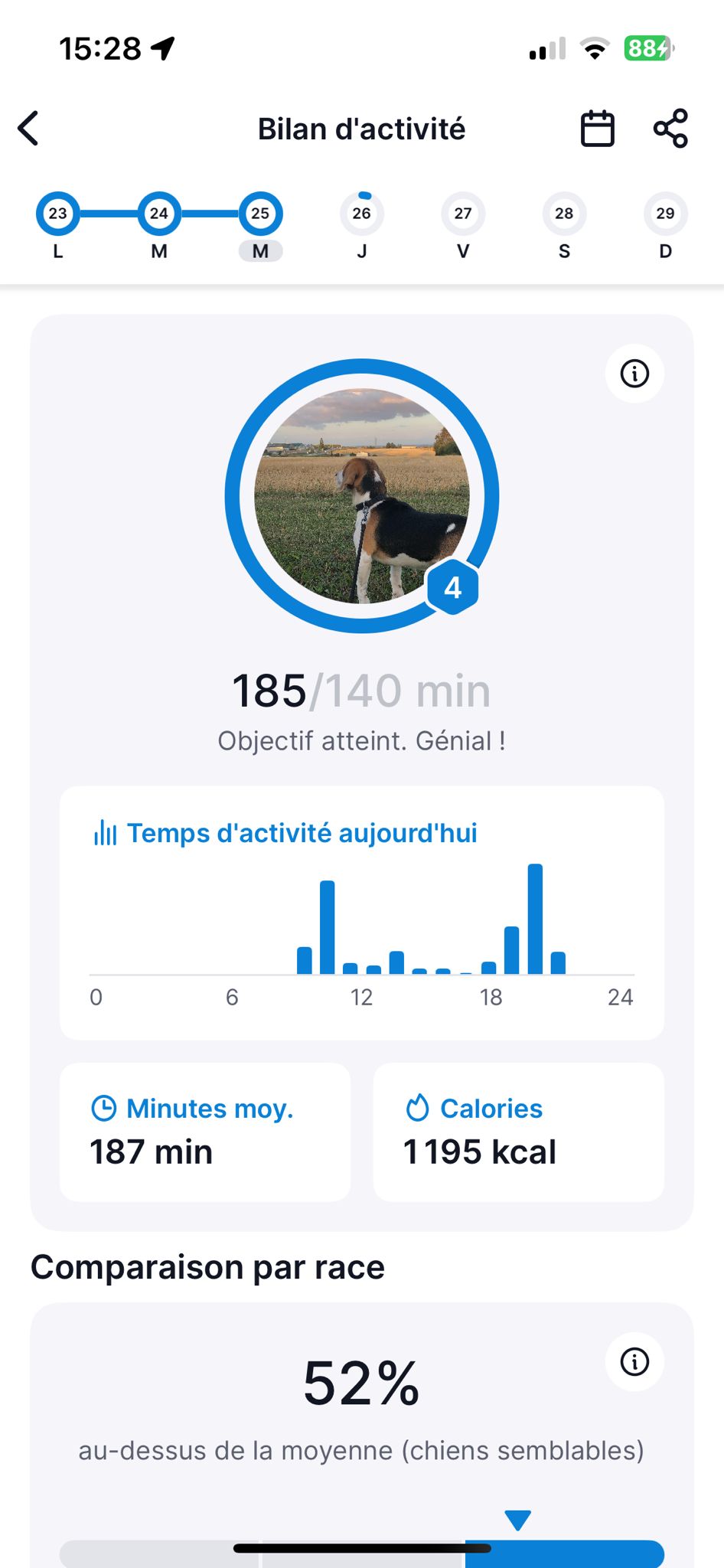 test et avis tractive dog 6