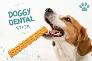 Stick dentaire chien