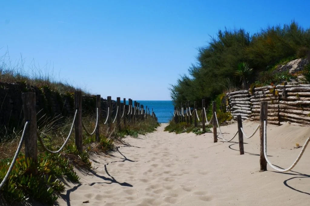 plages autorisées aux chiens à vias