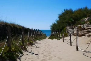 plages autorisées aux chiens à vias