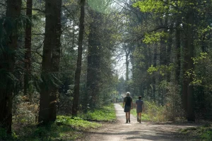 balade Dordogne avec son chien
