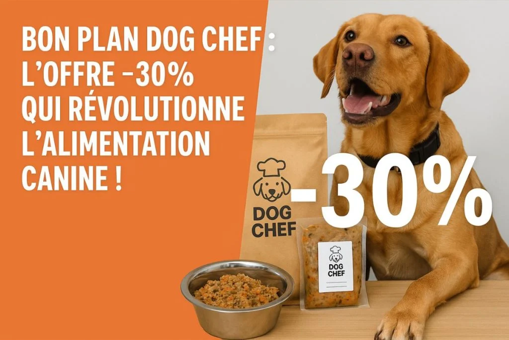 bon plan dog chef