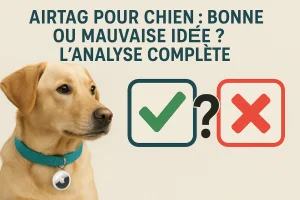 Apple airtag pour chien