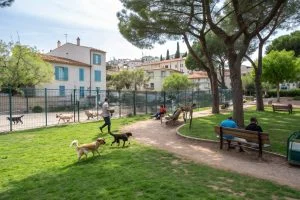 Tous les parcs autorisées aux chiens à Marseille