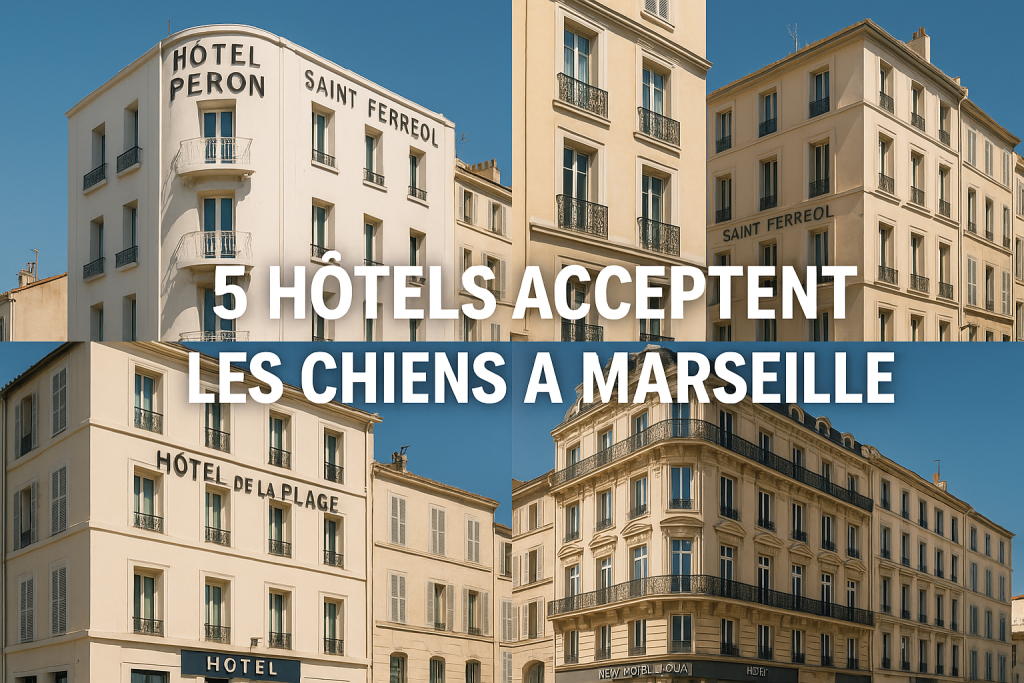 5 hôtels acceptent les chiens à Marseille