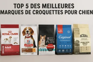 Top 5 des meilleures marques de croquettes pour chiens