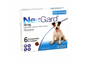 Avis NexGard chien : notre test complet [efficacité, risques, alternatives]