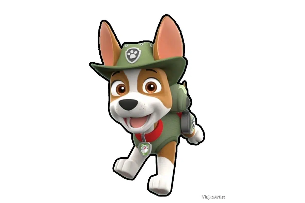 Tracker pat patrouille