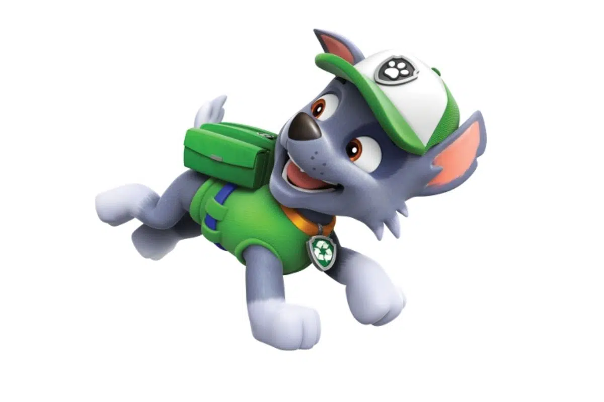Rocky pat patrouille