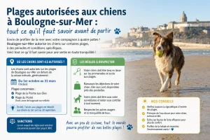 Plages autorisées aux chiens à Boulogne-sur-Mer : tout ce qu'il faut savoir avant de partir