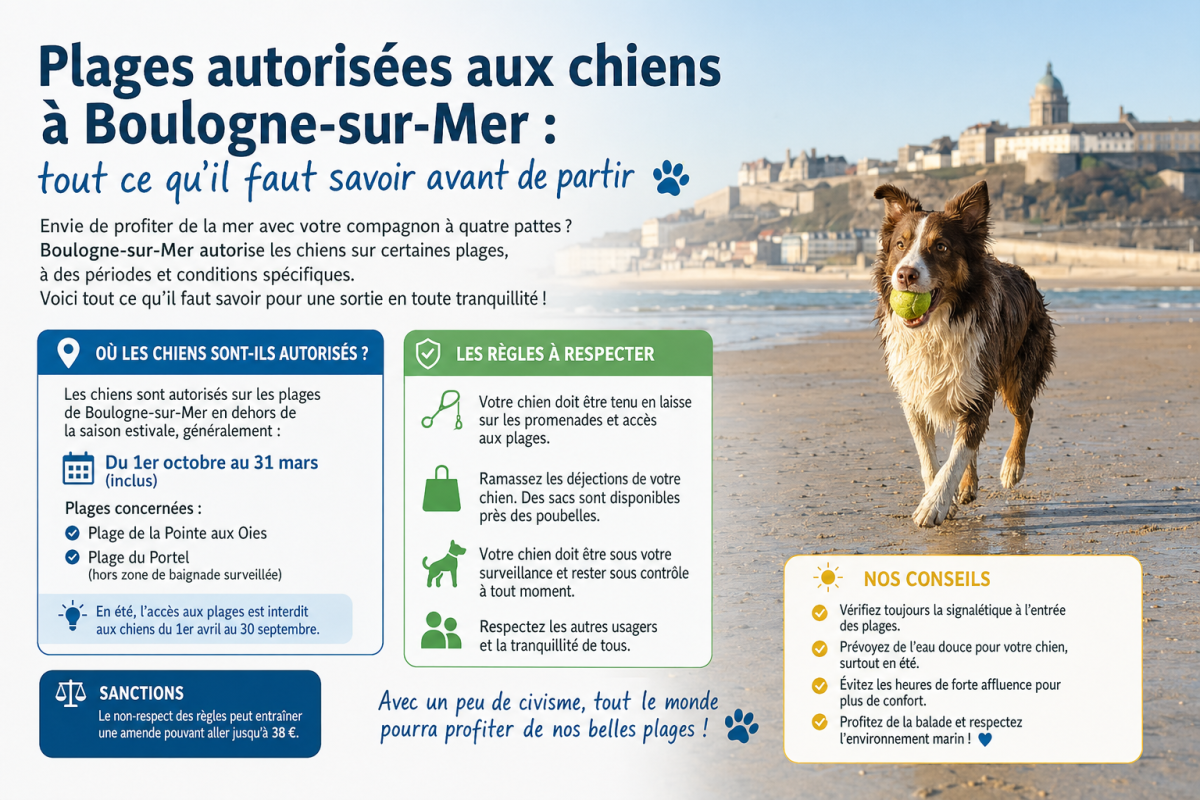 Plages autorisées aux chiens à Boulogne-sur-Mer : tout ce qu'il faut savoir avant de partir