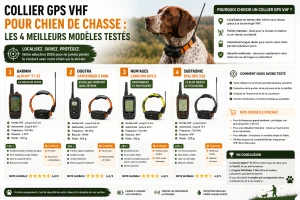 Collier GPS VHF pour chien de chasse : les 4 meilleurs modèles testés