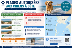 Plages autorisées aux chiens à Sète
