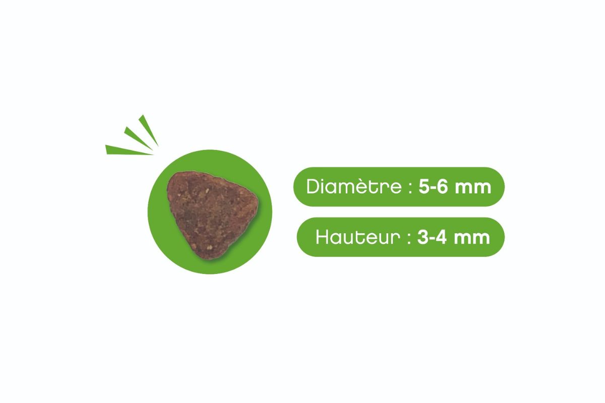 Croquettes Lapsa Lab