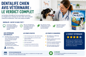 Dentalife chien avis vétérinaire : le verdict complet
