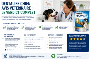Dentalife chien avis vétérinaire : le verdict complet