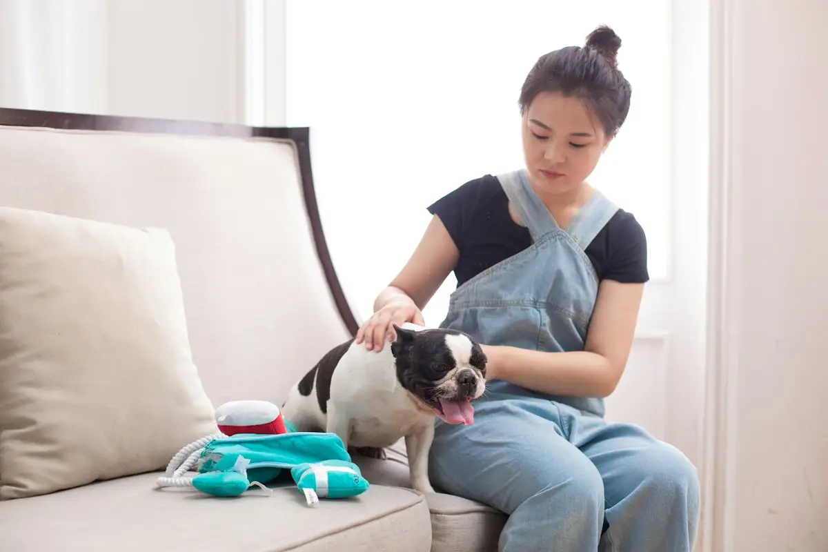 Vétérinaire palpant l'abdomen d'un chien qui vomit lors d'une consultation
