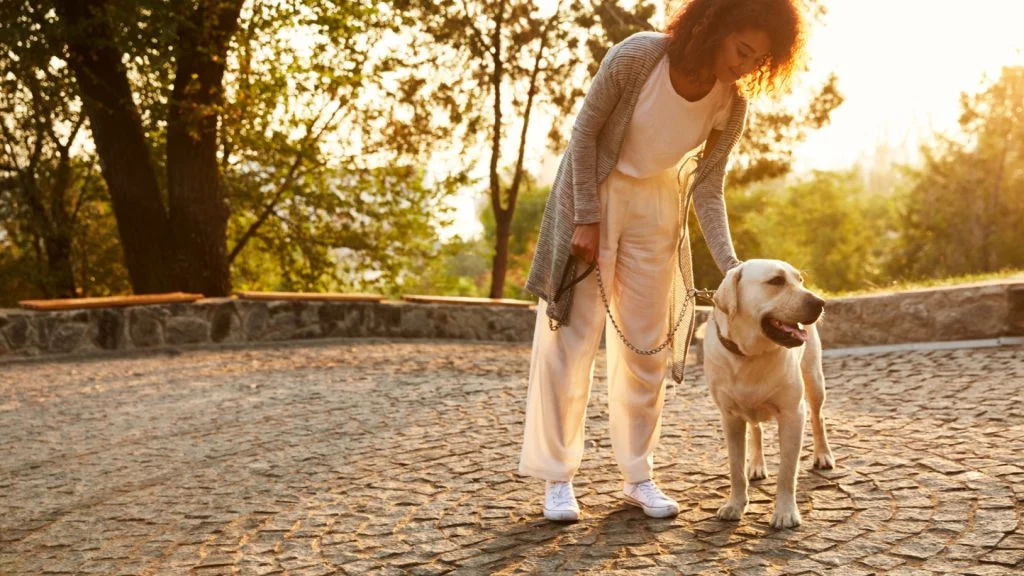 Où promener son chien à Amiens ?
