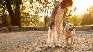 Où promener son chien à Amiens ?