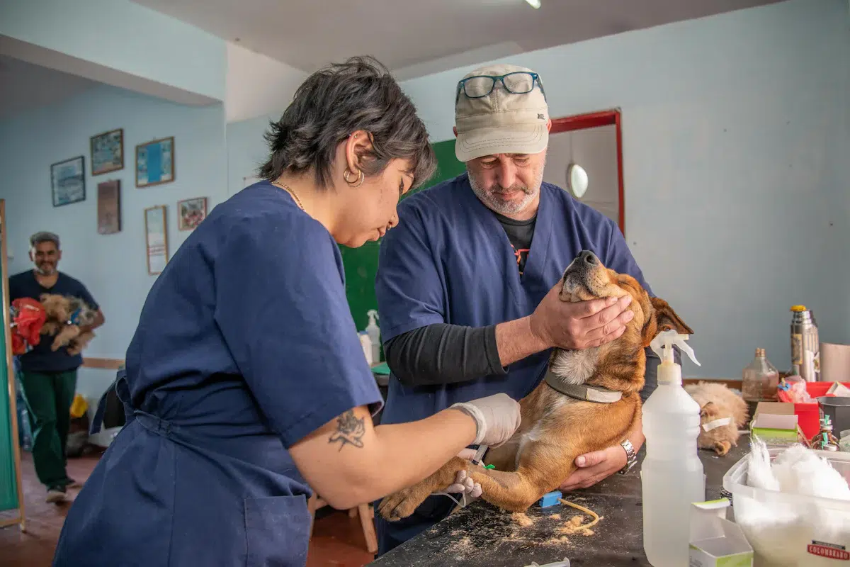 Un homme et une femme tenant un chien dans une pièce, geste pratique pour suivre son poids pendant un régime